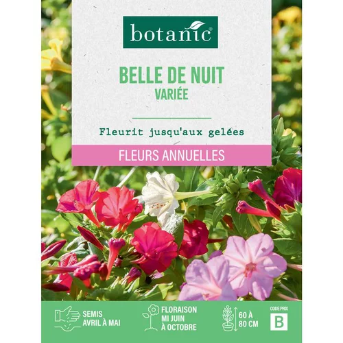 Sélection pour votre jardin:Graines de fleurs Belle de nuit variée botanic®