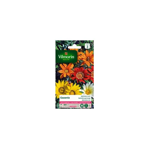 Vie au jardin：Graines de Gazania Splendens varié Vilmorin - graines à semer