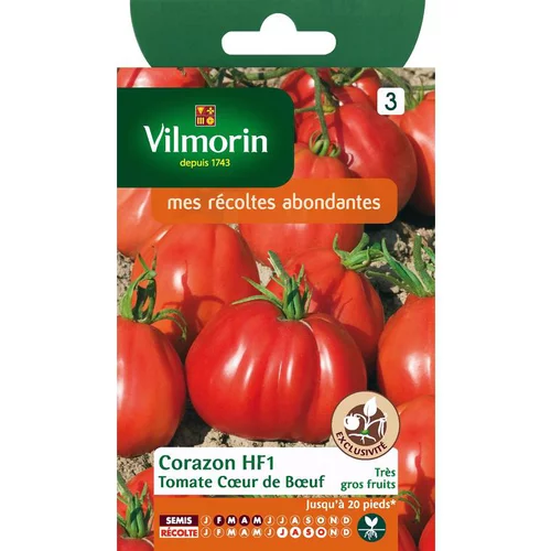Espace vert essentiel：Graines de tomate cœur de bœuf Vilmorin - graines à semer