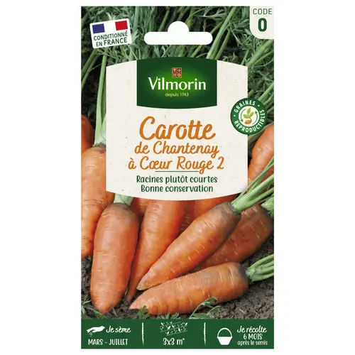 Essentiel pratique：Carotte de Chantenay à cœur rouge 2 Vilmorin - graines à semer