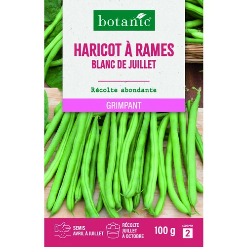À découvrir au jardin：Graines de haricot à rames blanc de juillet mangetout botanic® - graines à semer