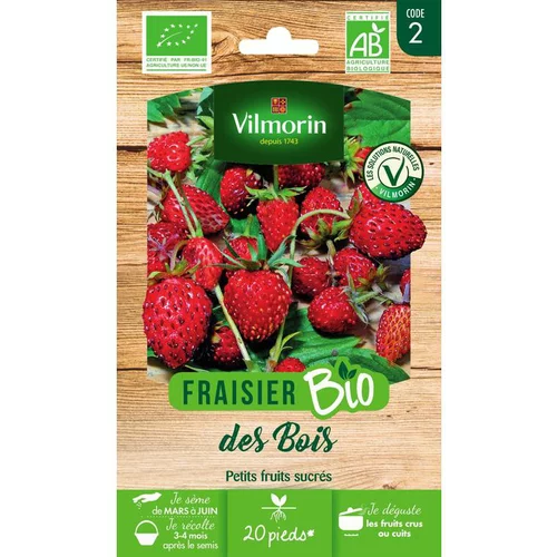Pour un jardin agréable:Graines de fraisier des bois bio Vilmorin - graines à semer