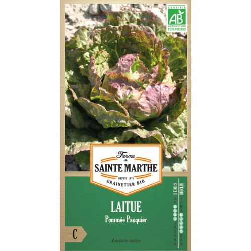 Idéal au jardin：Graines de Laitue pommée Pasquier bio Ferme de Sainte Marthe - graines à semer