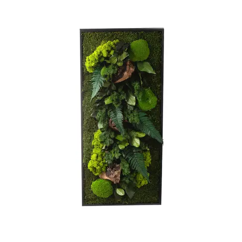 Une idée pour vos extérieurs:Cadre stabilisé canopée Naturalys rectangle L - 40 x 90 cm