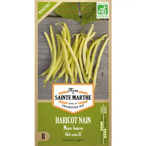 Pour mieux organiser votre jardin：Sachet de graines de haricot major