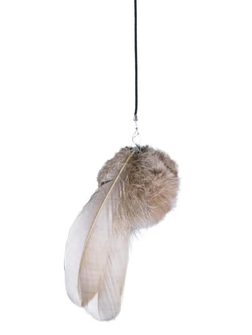 Jardin extérieur：Jouet à plumes pour chat coloris capuccino Petrebels Funky Rebels