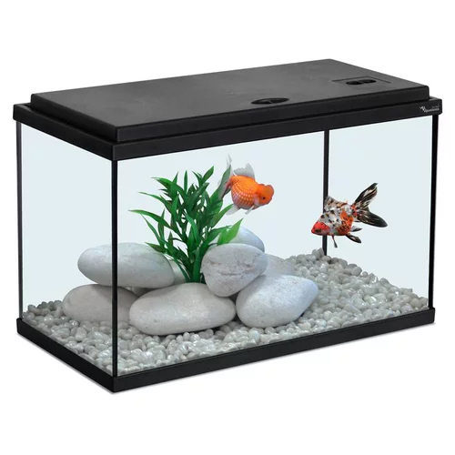 Pour vos extérieurs:Aquarium coloris noir 20L - 40 x 20 x 25 cm