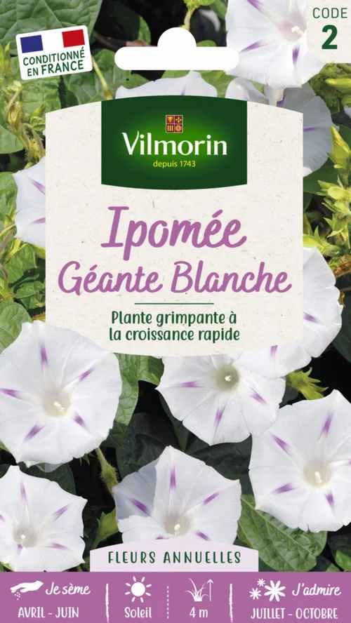 Esprit végétal：Ipomée Géante Blanche Vilmorin - graines à semer