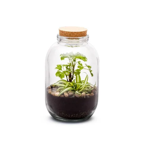 Pour vos extérieurs：Terrarium Bulle de Nature Naka en verre transparent avec bouchon liège Naturalys - Ø 12,5 x 26 cm