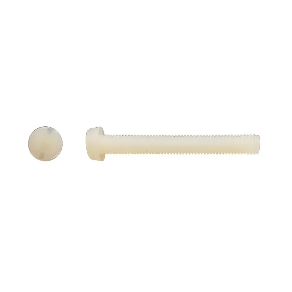 200 Vis Métaux Tête Cylindrique Fendue 6 × 20 mm – DIN 84 | Polyamide | D | Work