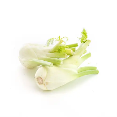 Jardin expert：Fenouil bio - Prix au kg