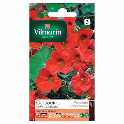 Graines de fleurs et bulbes – Graines de Capucine Valina Ecarlate Vilmorin