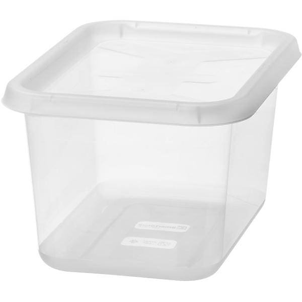 Boîte de rangement transparente avec couvercle 44 litres Basic L – Réf. VLGZAHOGG4274922194
