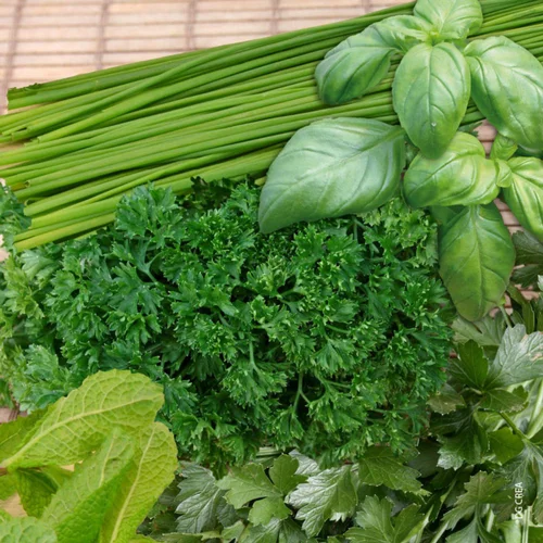 Essentiel nature：Aromatique Varie Bio. La jardinière de 40 cm