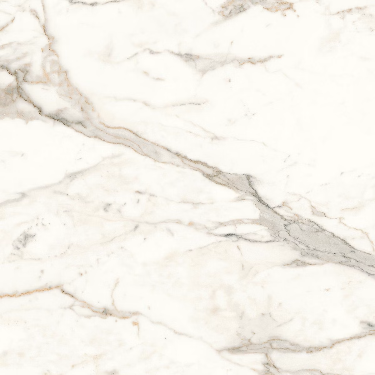 Carrelage effet Marbre Blanc Calacatta Prima 60 × 60 × 0 – 9 cm Brillant Faventa, Sol et mur intérieur (vendu par carton de 1,08 m²)