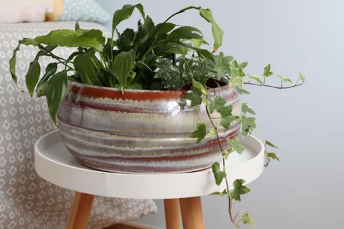 Tendance au jardin:Coupe en terre cuite émaillée crème Noisette Les Poteries d’Albi Melilo - Ø 24 x H 11 cm