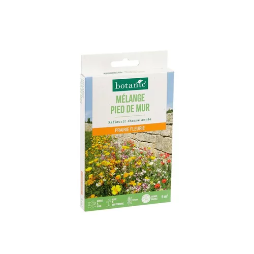 Simple au jardin：Mélange de graines pour pied de mur botanic® - graines à semer (5 m²)
