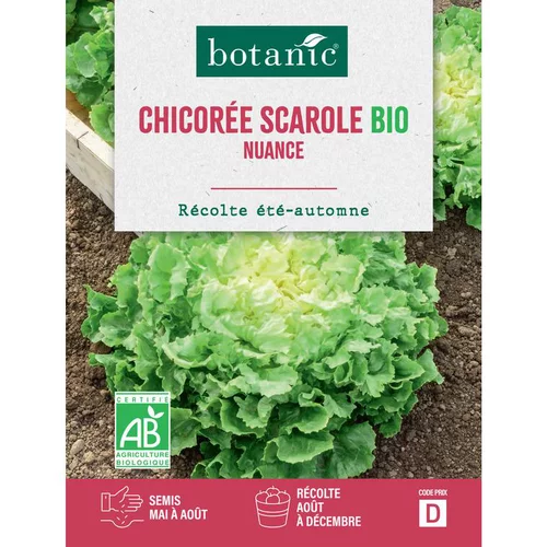 Extérieur qualité：Graines de Chicorée scarole nuance bio botanic® - graines à semer