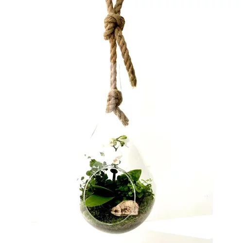 Facile jardin:Terrarium Drop en verre transparent à suspendre Naturalys taille L - Ø 20 x 40 cm