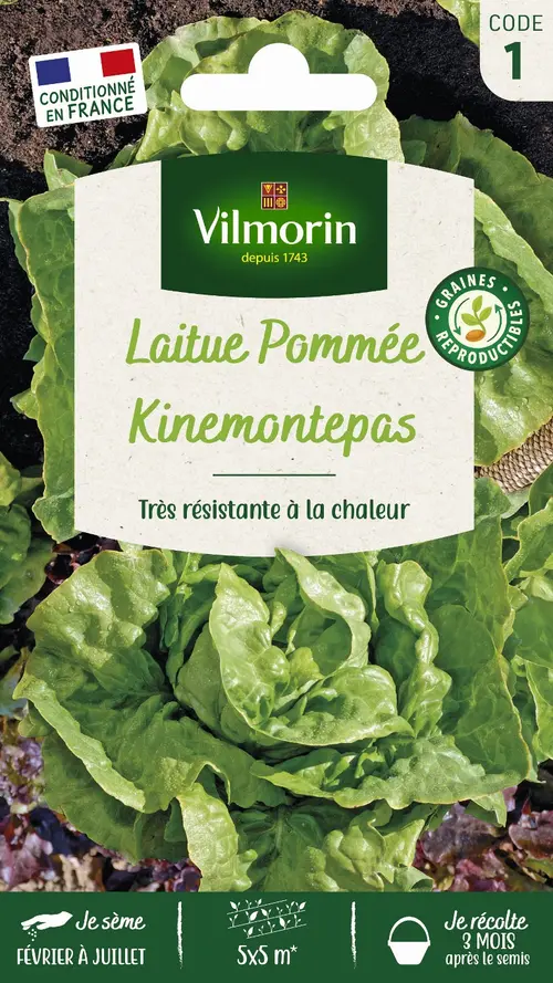 Adapté au jardin：Graines de laitue pommée kinemontepas coloris vert Vilmorin jardin - graines à semer
