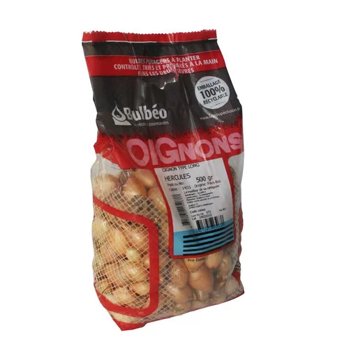 Un atout pour vos extérieurs：Bulbes d’oignons longsetton en filet - 500 g