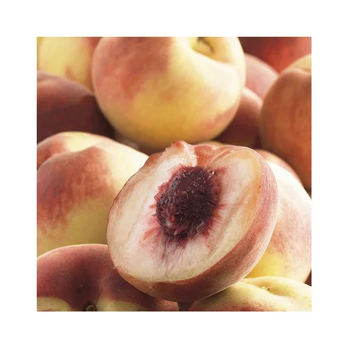 Le jardin au quotidien：Pecher Andromede ®. En racine nue, forme gobelet