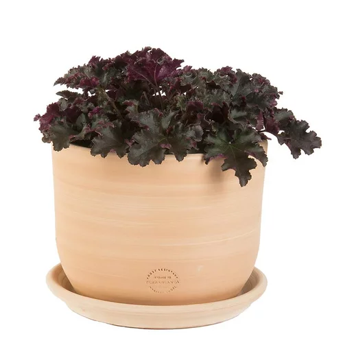 Jardin & déco:Pot Macetero terre cuite claire D20XH16