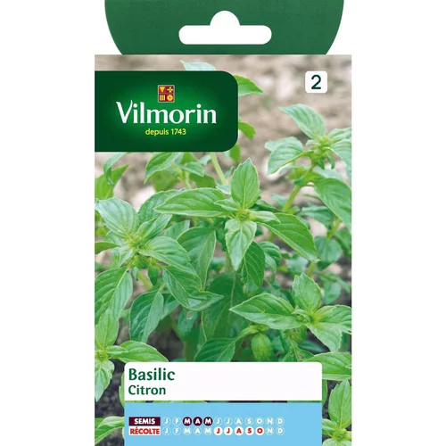 Solution nature：Graines de basilic citron Vilmorin - graines à semer