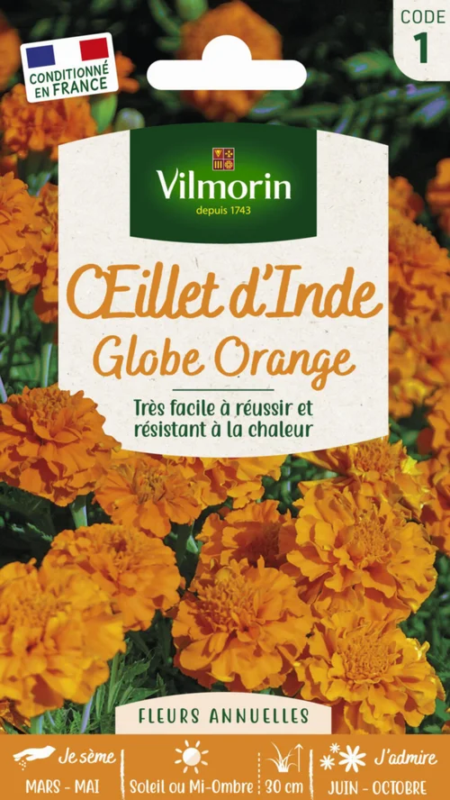 Malin au jardin：Graines d’Œillet d’Inde Globe orange Vilmorin - graines à semer