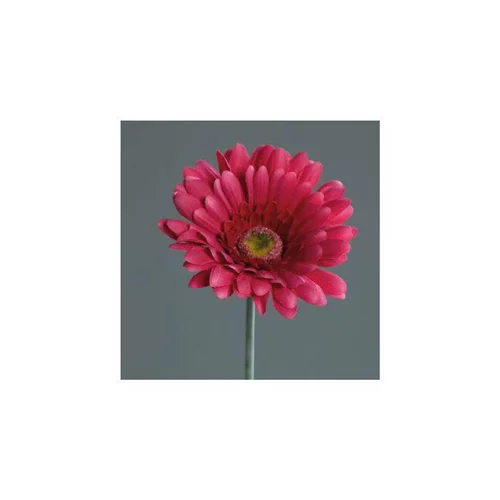 Le jardin au quotidien:Gerbera artificiel rose fuchsia