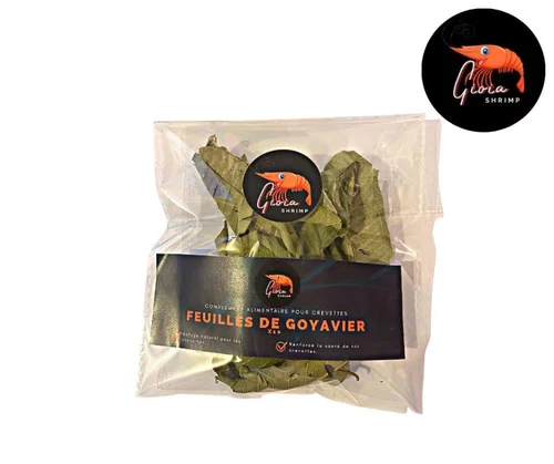 Jardin & idées：Feuilles de goyavier pour crevettes d'aquarium Gioiashrimp – Sachet de 10