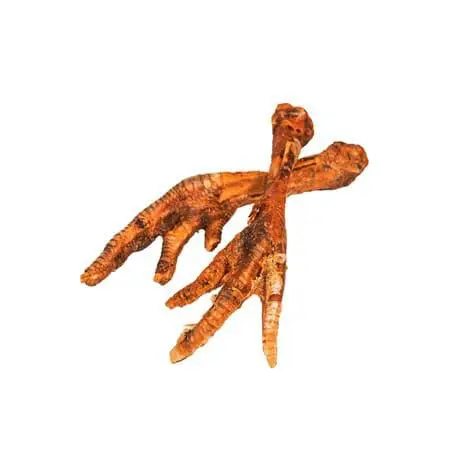 Pour valoriser votre jardin：Patte de dinde pour chien en vrac Bubimex - Prix à la pièce