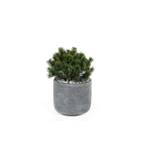 Les essentiels du jardin:Pot rond Stream Anthracite Ø.31 x H.27 cm