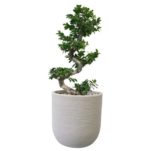 Jardin & idées:Pot rond en corde Ø 45 cm