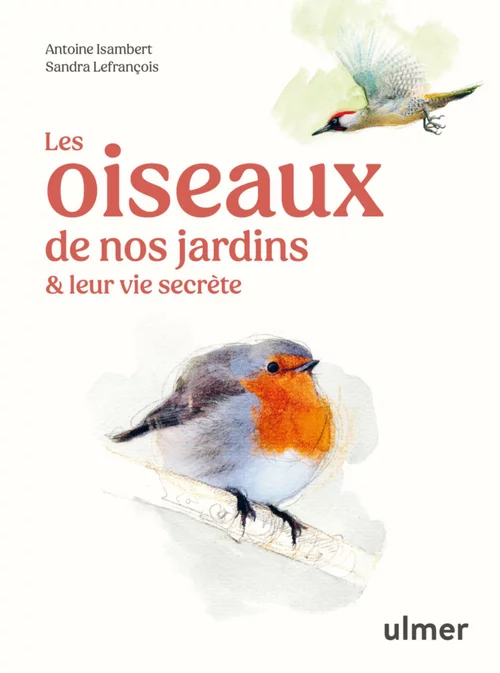 Une sélection pour l’extérieur：Livre Les oiseaux de nos jardins et leur vie secrète aux Éditions Ulmer - 127 pages