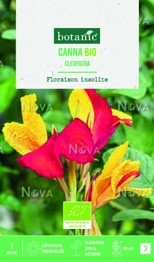 Pour l’extérieur:Bulbe de fleurs Canna Indica Cleopatra bio botanic® - 1 bulbe