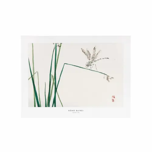 Jardin et loisirs:Affiche libellule - 30 x 40 cm