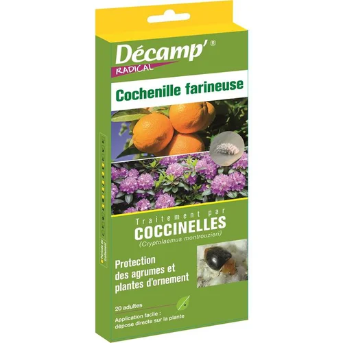 Pour un jardin bien organisé:Coccinelles cochenilles farineuses Décamp - 20 adultes