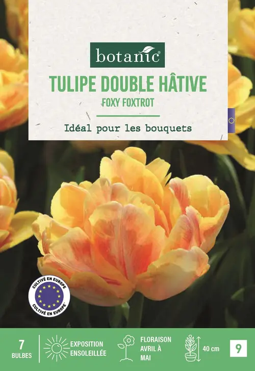 À découvrir pour le jardin：Bulbes de fleurs Tulipe double tardive Foxy Foxtrot rose botanic® - 7 bulbes