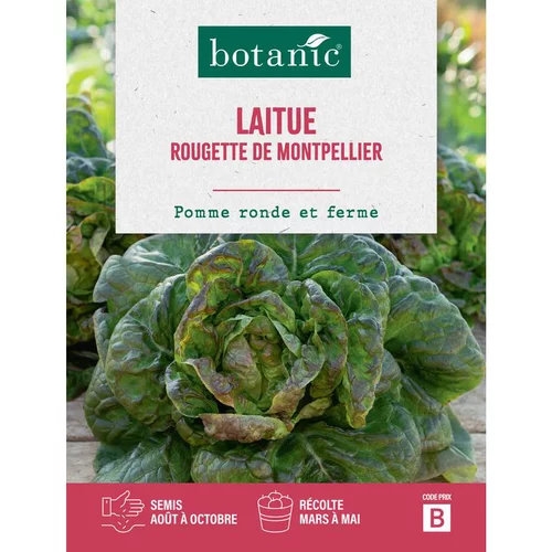 À découvrir pour le jardin：Graines de laitue rougette de Montpellier botanic® - graines à semer