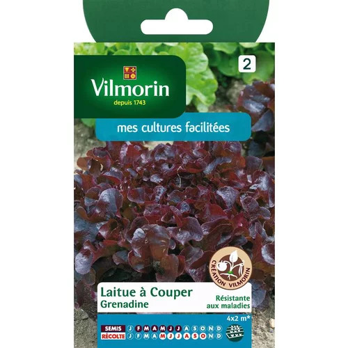 Solution pratique：Graines de laitue à couper grenadine Vilmorin - graines à semer