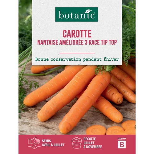 Pour la vie au jardin：Graines de carotte nantaise améliorée 3 race tip top botanic® - graines à semer