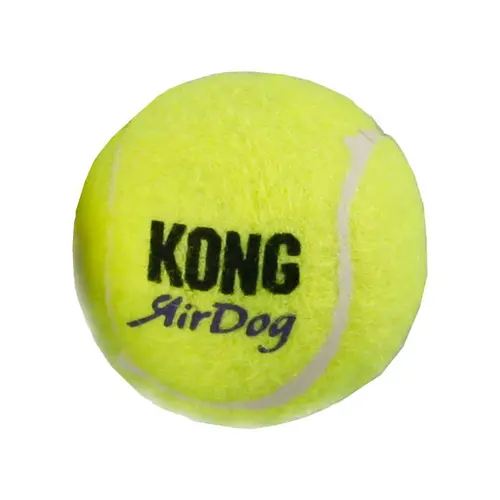 Jardin maison:Kong tennis balle squeaker x3