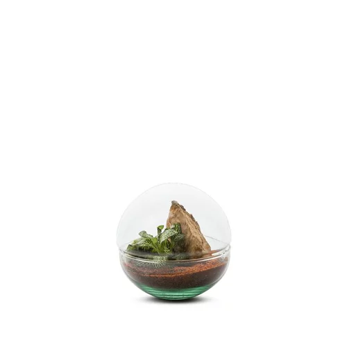 Idéal au jardin:Terrarium Bulle de Nature Mini Monde en verre transparent Naturalys taille S - Ø 12 x 12 cm