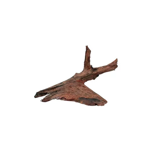 Style nature：Racine Mangrove en bois naturel marron taille M 25/40 cm