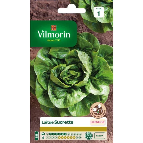 Tout au jardin:Graines de laitue sucrette Vilmorin - graines à semer