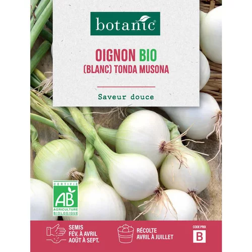 Pour un extérieur plus agréable：Graines d'oignon tonda Musona bio botanic® - graines à semer