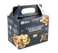 Jardin bien-être：Kit de culture pour champignons pleurotes grises bio 25x20x15 cm