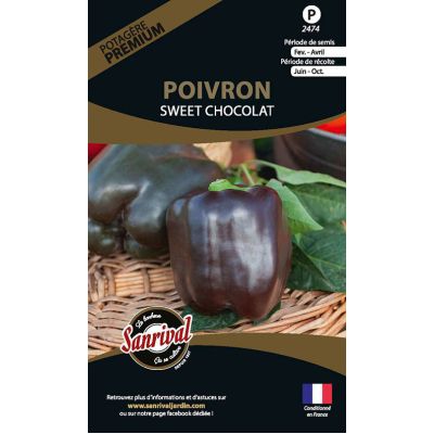 Graines potagères premium poivron (Chocolat)