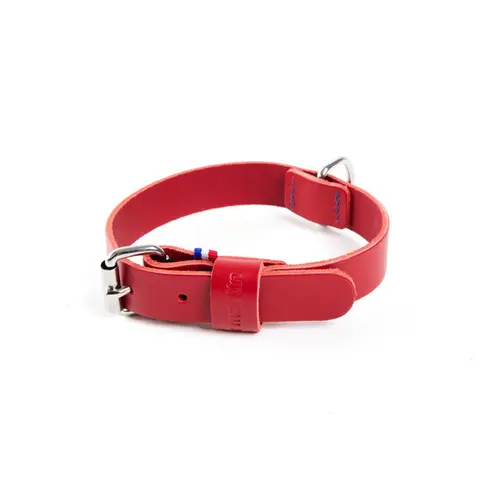 Bien au jardin：Collier pour chien en cuir coloris rouge cousu Martin Sellier 499 - Taille 25/50